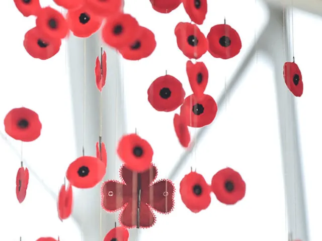 Faces of Canada Today (Juno Beach Centre) project image